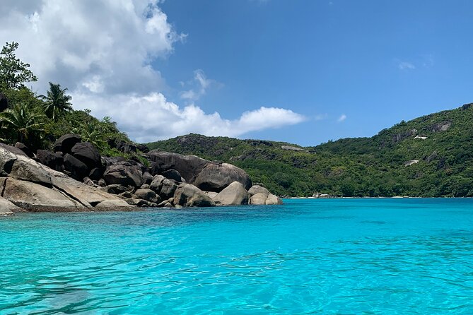 Reef Safari - Snorkeling, Fish Feeding & Lunch (Shared Day Trip) - Key points at a glance