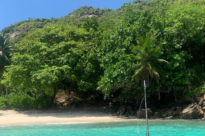 Reef Safari - Snorkeling, Fish Feeding & Lunch (Shared Day Trip) - How the timing and group size affect your day