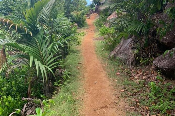 Relaxed hike to Anse Major | Mahe, Seychelles, Great Private Tour - The Anse Major Trail, step by step