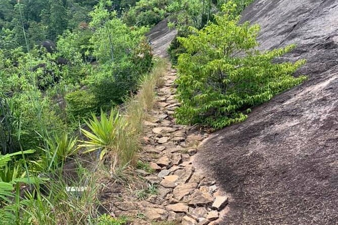 Relaxed hike to Anse Major | Mahe, Seychelles, Great Private Tour - Practical ways to have a better day