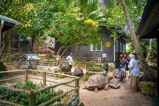 Sainte Anne Marine Park and Moyenne Island - Who should book this seven-hour outing?