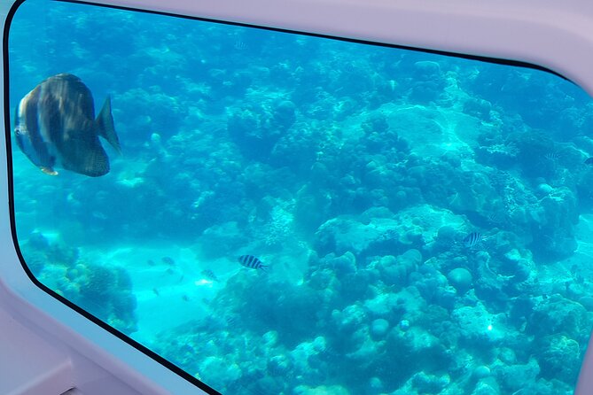 Semi Submarine Tour in Saint Anne Marine National Park - Key points before you book