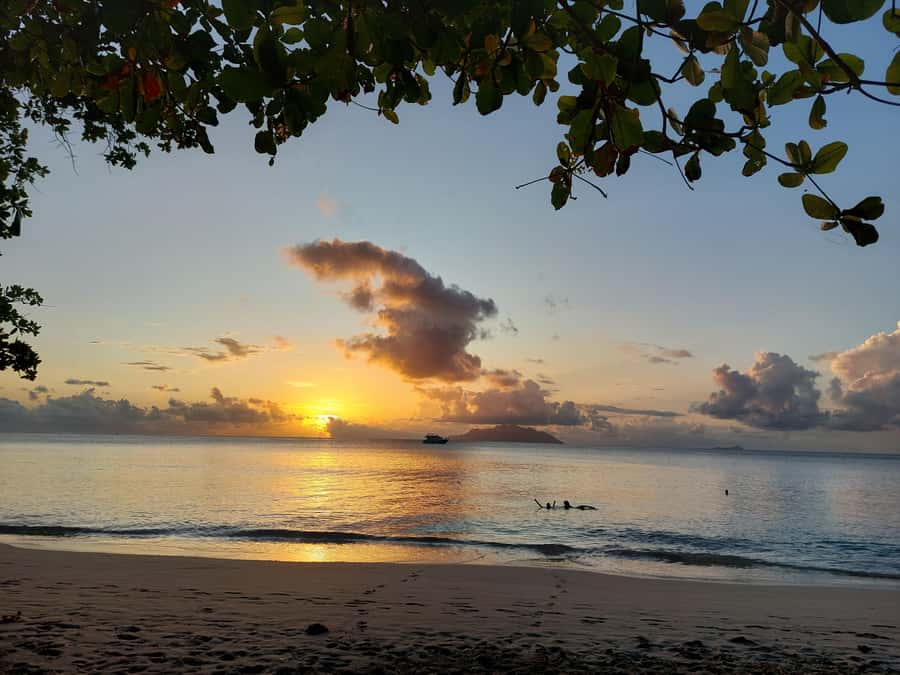 Seychelles: Best of Mahe Private Tour - Key points to know before you book