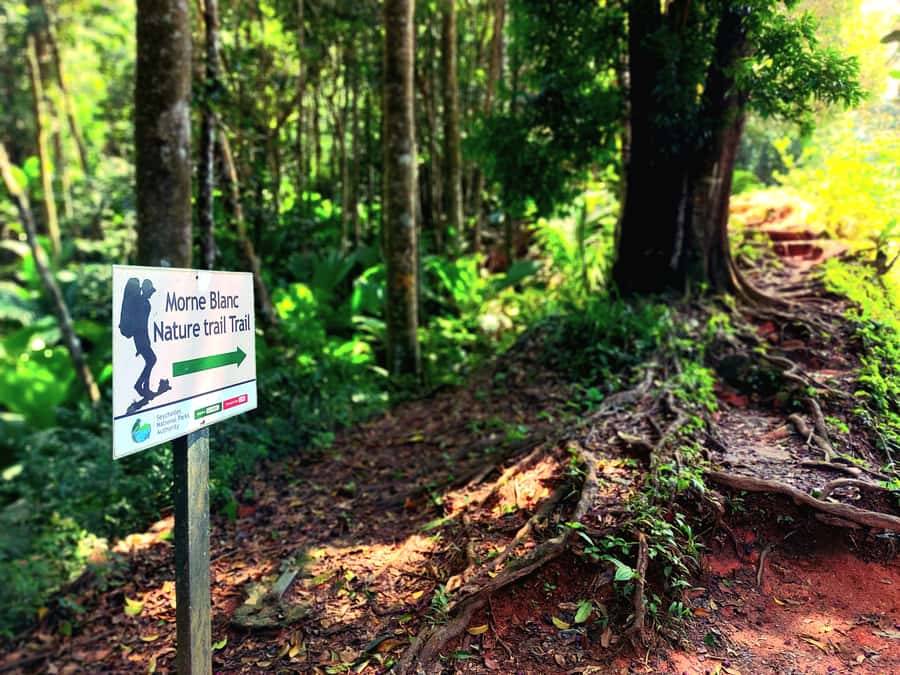 Seychelles: Best of Mahe Private Tour - What the $280 group price really means
