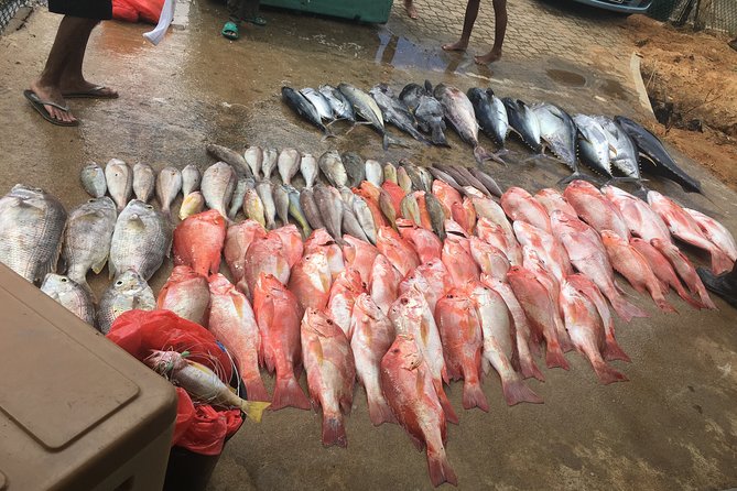 Seychelles Fishing - Key points for choosing this Seychelles fishing trip