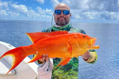 Seychelles Fishing
