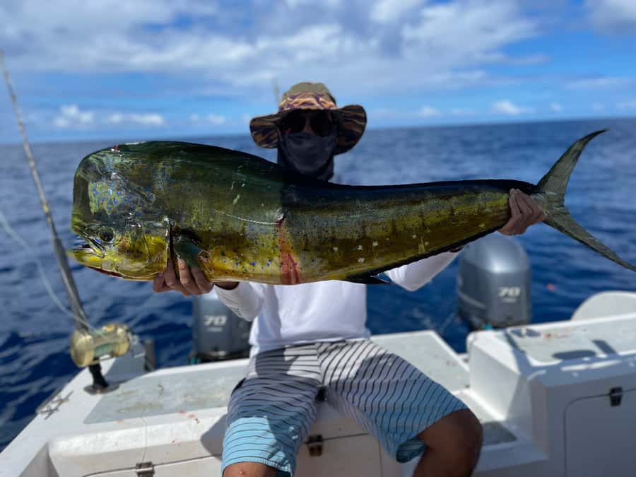 Seychelles: Guided Fishing Trip with Pickup and Equipment - The fish you may target