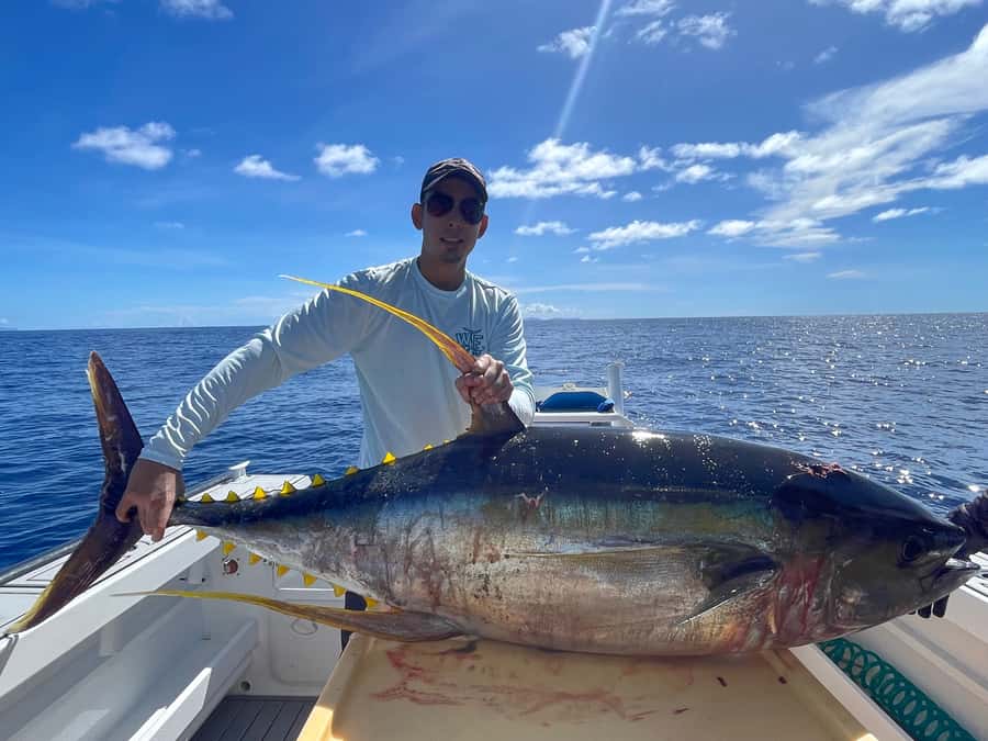 Seychelles: Guided Fishing Trip with Pickup and Equipment - Four hours or nine hours on the water