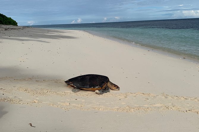 Seychelles Island Tour (PRIVATE 4 hours or 8 Hours) - Craft traditions at Domaine de Val des Pres