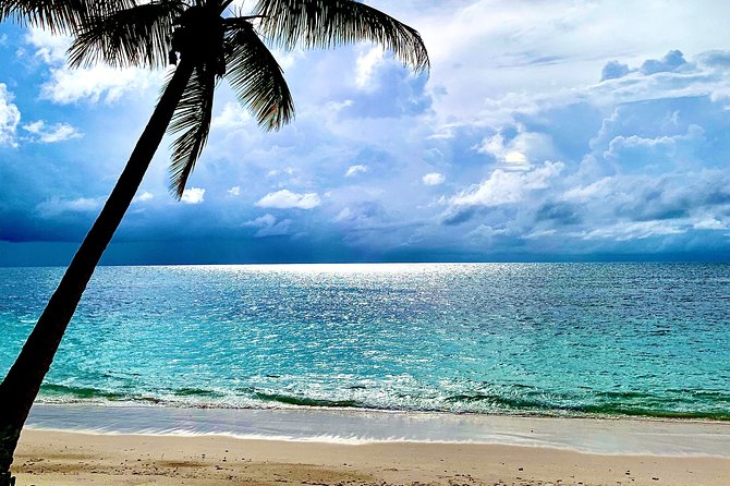 Seychelles Island Tour (PRIVATE 4 hours or 8 Hours) - Victoria Market gives you a quick start