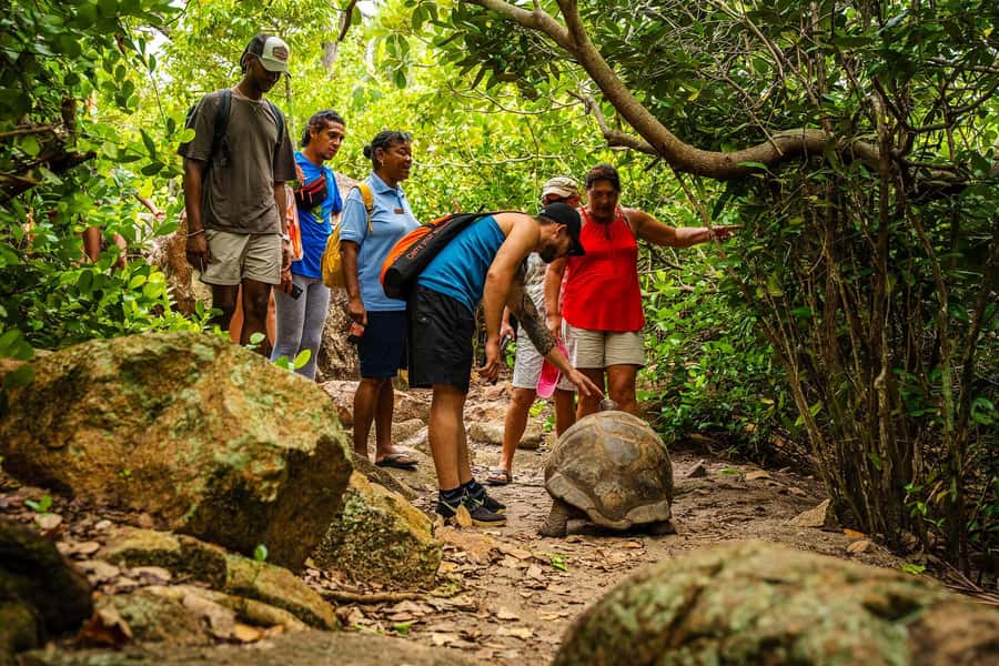 Seychelles: St Pierre and Curieuse Catamaran Tour with Lunch - Group size, pace, and comfort