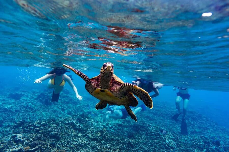 Sister, Coco, and Felicite Island: Seychelles Catamaran Tour - Why this island-hopping day works so well