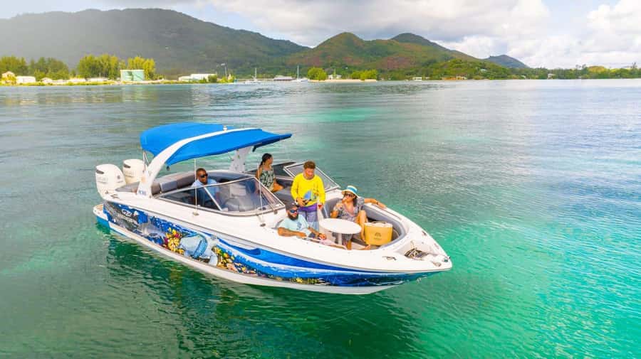 Snorkeling St-Pierre Marine Park and Anse Petite Cour - Anse Petite Cour, the second chance to see marine life