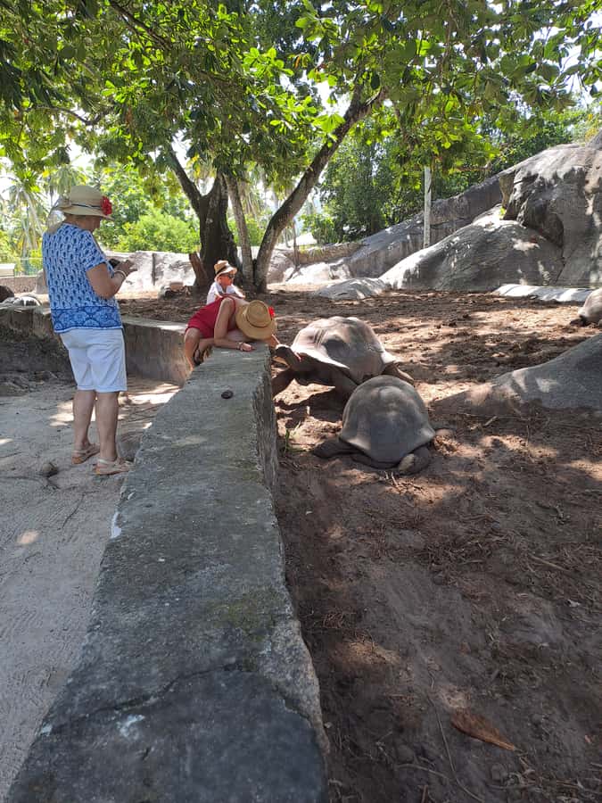 St. Anne Marine Park, Moyenne & Cerf Island Tour with Lunch - Timing, weather and who will enjoy this most
