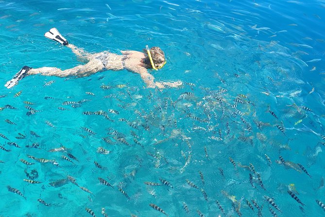 St Anne Marine Park & Moyenne Island, Creole Lunch (Private Boat) - Snorkeling in St. Anne Marine Park