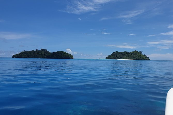 St Anne Marine Park & Moyenne Island, Creole Lunch (Private Boat) - An Afternoon Beach or Fish-Feeding Stop