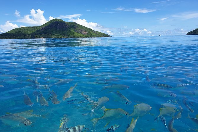 St Anne Marine Park & Moyenne Island, Creole Lunch (Private Boat) - Is $552.49 Per Person Good Value?