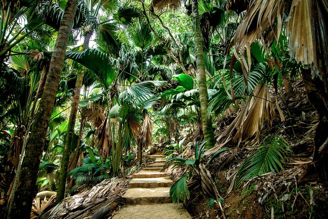Vallee de Mai Tour (From Praslin) - Key points to know before you book