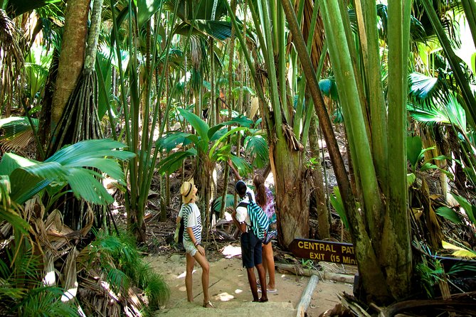 Vallee de Mai Tour (From Praslin) - Why Vallée de Mai is worth your time