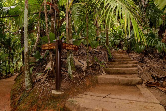 Vallee de Mai Tour (From Praslin) - What could go wrong, and how to avoid it