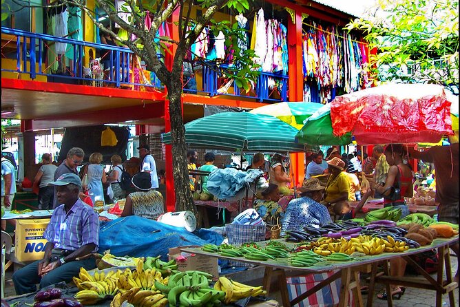 Victoria City Tour | Mahé, Seychelles | Private walking tour | - The Botanical Garden and its giant tortoises