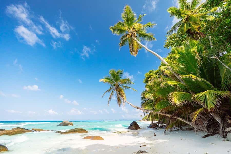Victoria: Seychelles Mahe Island Tour - Why a private drive makes sense on Mahé