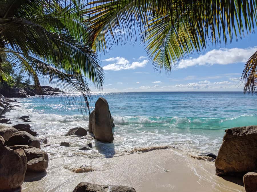 Victoria: Seychelles Mahe Island Tour - Choosing your stops instead of following a fixed script